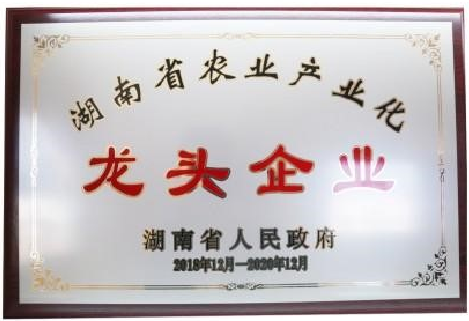 龍頭企業(yè)