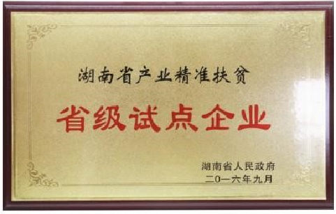 精準(zhǔn)扶貧省級(jí)試點(diǎn)企業(yè)