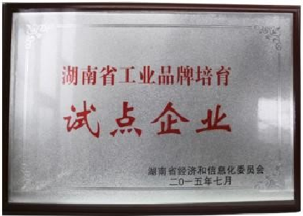 工業(yè)品牌培育試點(diǎn)企業(yè)
